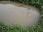15591IMG_4662.JPG