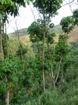 53516CIMG6857.JPG