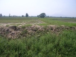 28256RIMG0256.JPG