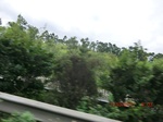34722CIMG2543.JPG