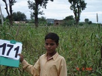 126280171c-rainfed-agricultre-doublecrop-millet-doublecrop-wheat.gif