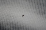 370IMG_3479.JPG