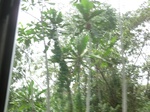 49619CIMG5956.JPG