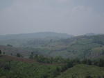 28306IMG_5113.JPG