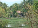 9186DSC03781.JPG