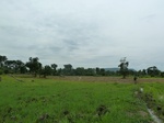 18435P1000271.JPG