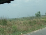 51552P1000723.JPG