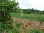 18480P1000316.JPG