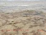 39102CIMG4805.gps.jpg