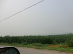 32940CIMG2086.JPG