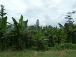20286P1020142.JPG