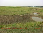 38925CIMG4823.gps.jpg