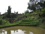 13680IMG_3941.JPG