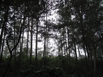 13454IMG_3837.JPG