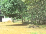 48700CIMG5037.JPG