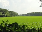 24574DSC00784.JPG