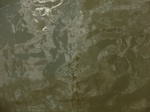 58613CIMG3063.JPG