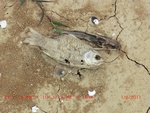 39104CIMG4808.gps.jpg