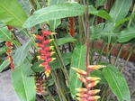 14779IMG_5171.JPG