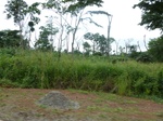 20018P1010868.JPG