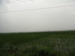21723DSC00265.JPG