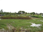 14267IMG_4607.JPG