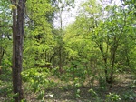 17404100_2090.JPG