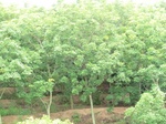34837CIMG1506.JPG