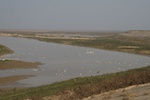 4486IMG_8406.jpg