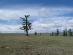 24008P1050157.JPG