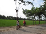 14388IMG_4730.JPG