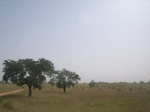 9072RIMG0152.JPG