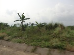 50748CIMG1377.JPG