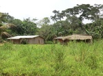 47868CIMG4205.JPG