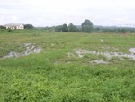 33620RIMG0285.JPG