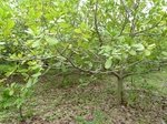18534P1000370.JPG