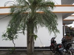 15933IMG_4482.JPG