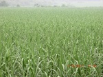 33168CIMG2405.JPG