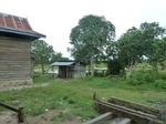 55016Berau (316).JPG