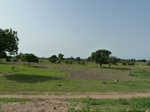 18913P1000756.JPG