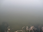 8467IMG_0292.JPG