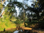 31927IMG_5716.JPG