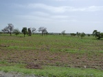 19264P1010110.JPG