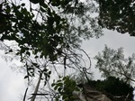 46174CIMG0463.JPG