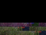 10773gt-100-b-wetland-moist-flood-plain-seasonal-03.jpg