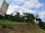 31133CIMG0995.JPG