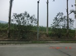 32697CIMG1828.JPG