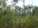 2012-08-28_20-34-46_P1010125.jpg