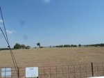 39268P1070970.JPG