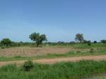 19488P1010335.JPG